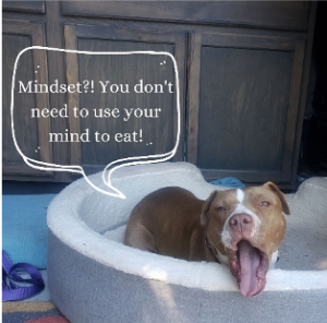 brown dog inside of white tub with text bubble
